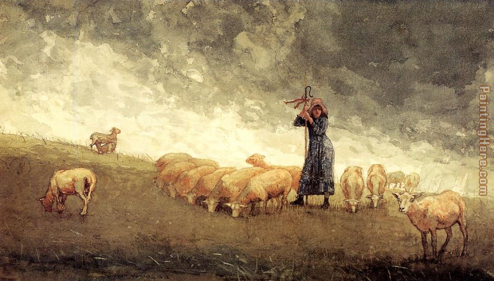 Shepherdess Tending Sheep painting - Winslow Homer Shepherdess Tending Sheep art painting
